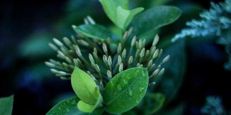 工程检测入门:守护建筑安全的科学之眼