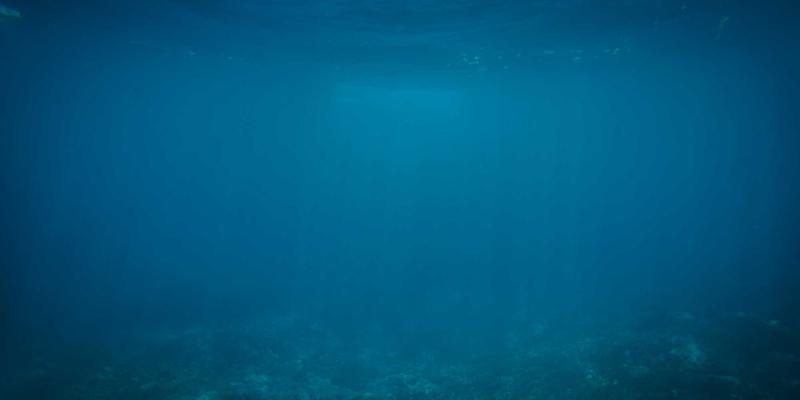 市政管网结构安全评估与工程鉴定：给排水、燃气管道泄漏检测与内部状况评估关键技术