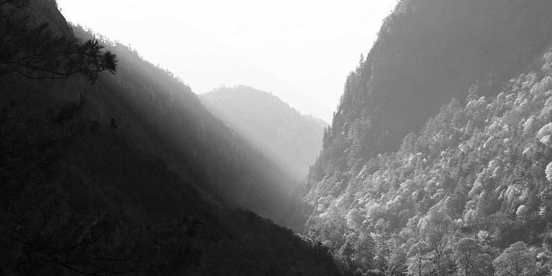 建筑检测新利器：环境激励法如何革新工程检测与模态分析