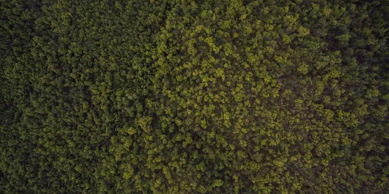 建筑门窗三性检测全解析：从实验室到现场的工程检测与结构安全评估