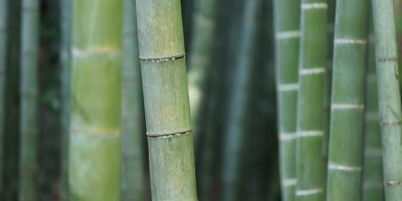 既有建筑砌体结构砂浆强度贯入法检测：适用性分析与精度控制关键