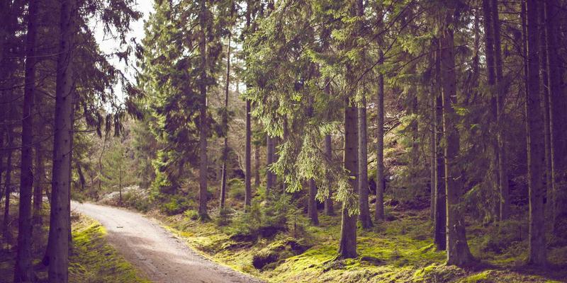 桥梁支座与伸缩缝工作状态检测评估与常见病害处理：工程鉴定与材料测试的关键实践