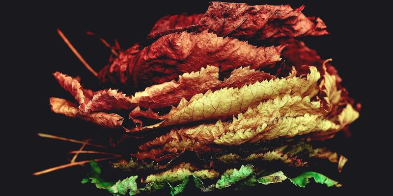 钢结构焊缝无损检测技术对比与选用指南：提升工程鉴定与建筑检测的精准度