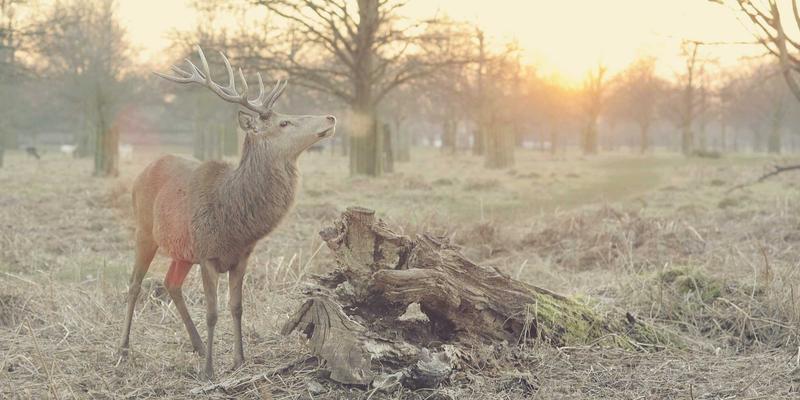 黄山工程检测专家解读：建筑防水渗漏红外热像检测的最佳时机与关键图谱解析